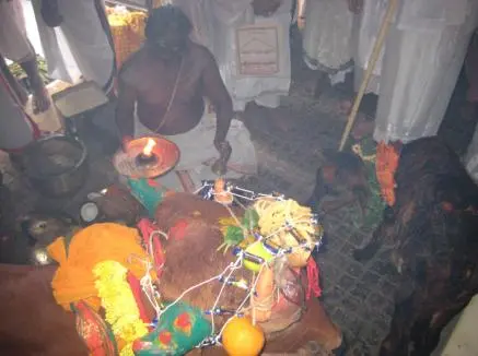 Puja at Goshala