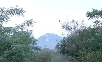 Inner Path around Arunachala