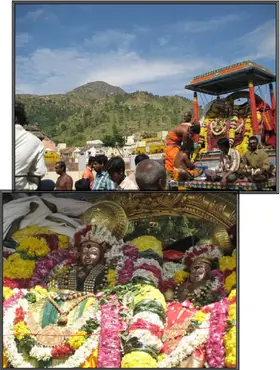 Sri Arunachaleswarar & Apeethakuchambal